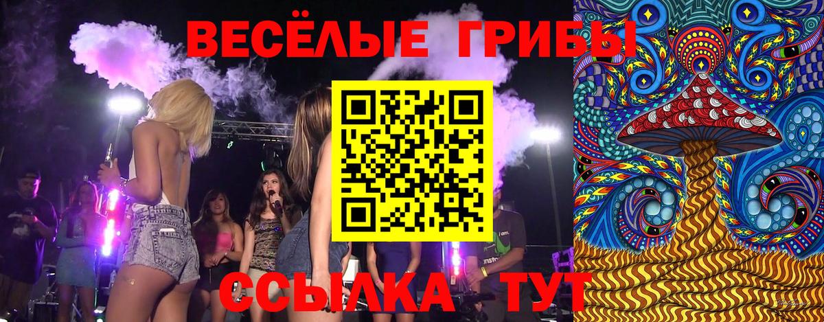 Алапаевск  Псилоцибиновые грибы GOLDEN TEACHER  Вход с VPN 